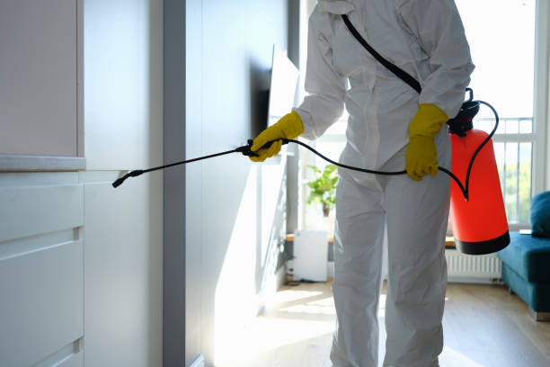 Best Mold Remediation  in Mcgraw, NY